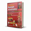 BD Chaurasia Human Anatomy Vol 1 10th Edition – Medical - Wifi Book Store